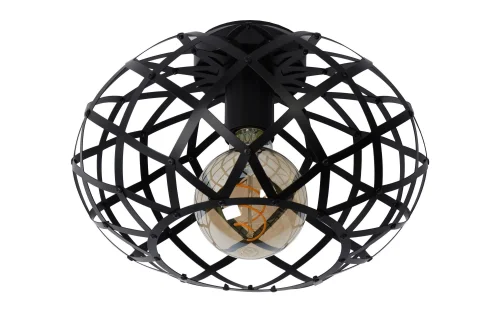 Светильник потолочный Wolfram 21117/30/30 Lucide чёрный 1 лампа, основание чёрное в стиле современный  фото 2